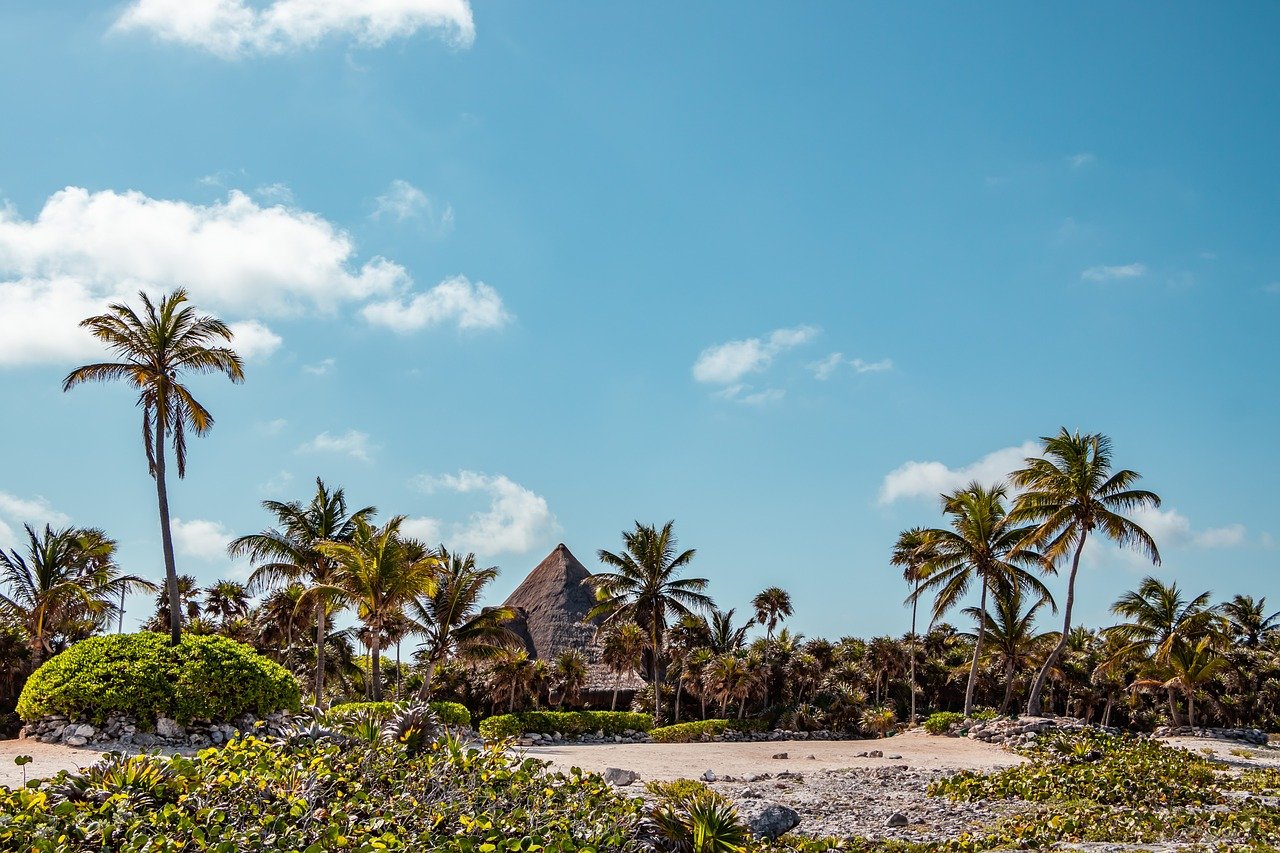 Ultimate 5-Day Akumal Adventure with Turtles and Cenotes